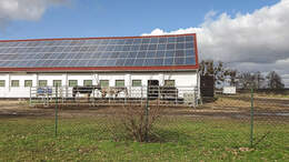 Reitschultest Magdeburg