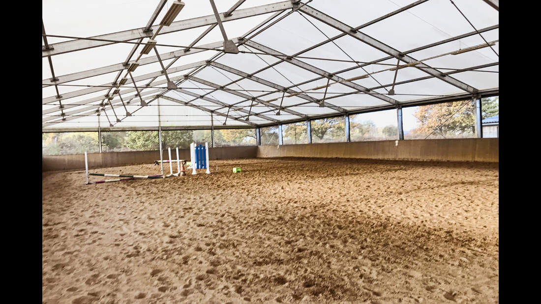 Reitschulttest Diepholz