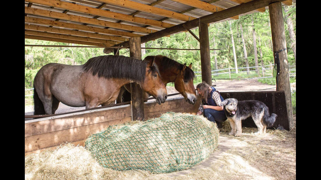 Report Waldfarmliebe