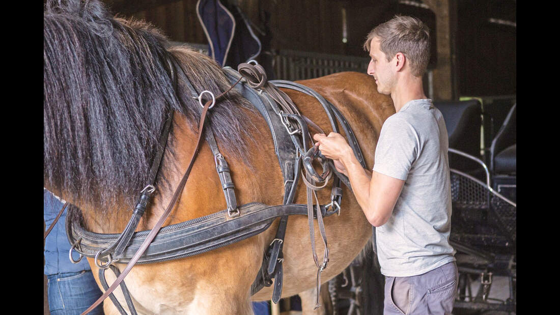 Report Waldfarmliebe