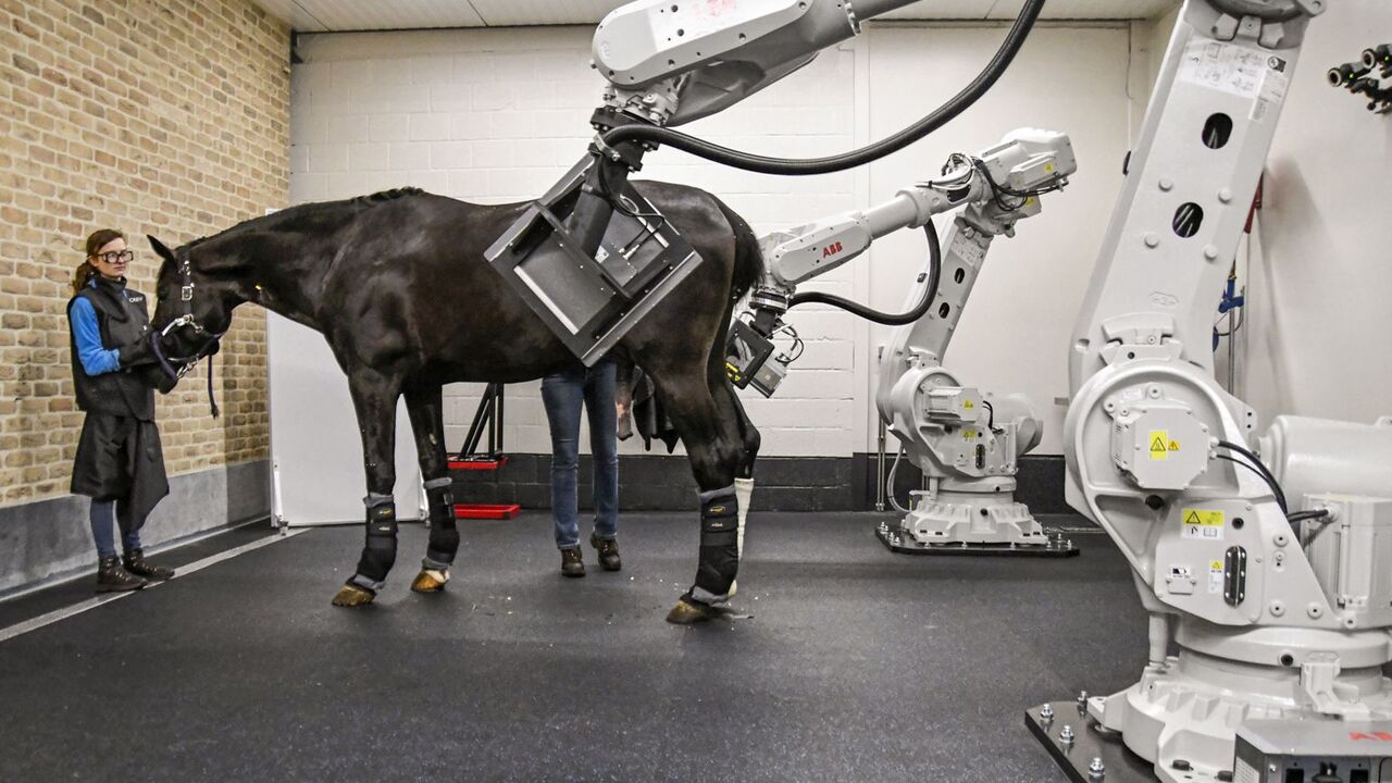 Roboter Pferd Zum Reiten