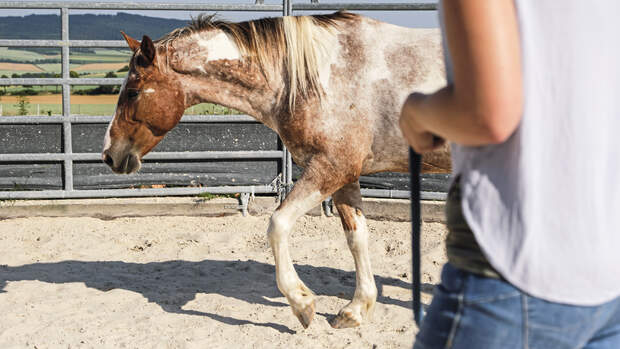 Roundpen