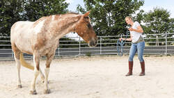 Roundpen