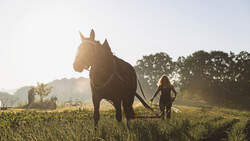 Schwere Warmblüter
