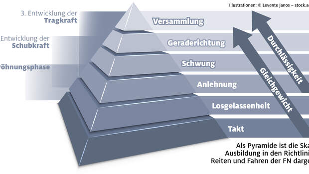 Serie Ausbildungsskala Geraderichtung
