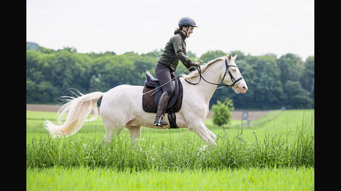 Serie Tragkraft-Training