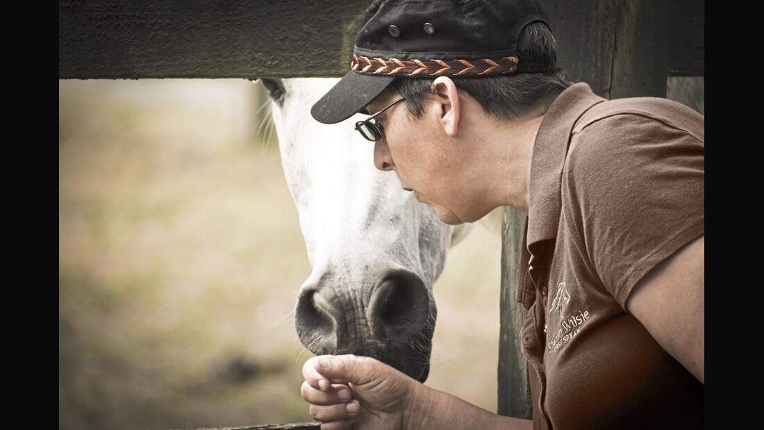 Sharon Wilsie im Interview über Pferdesprache cavallo.de