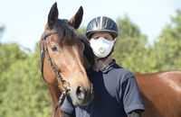 Sind Curly Horses geeignet für Allergiker?
