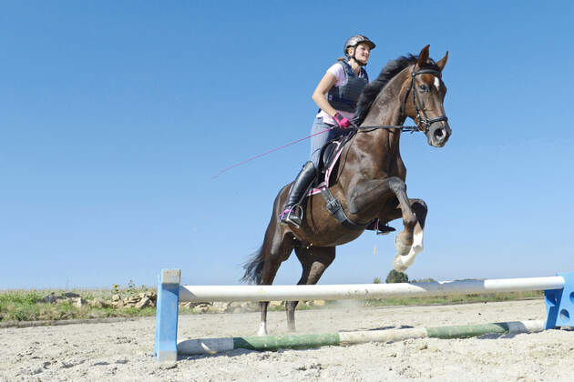 Bewegungskunstler 6 Ubungen Fur Besitzer Von Superpferden Cavallo De 
