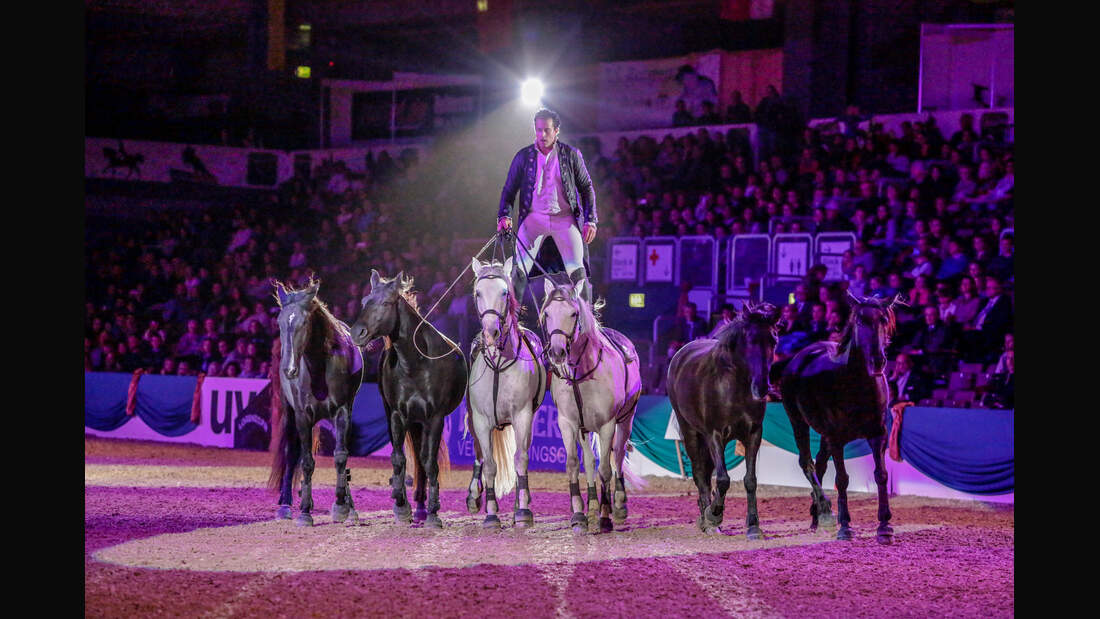 TOP GALA Show Faszination Pferd The Flying Frenchman Lorenzo
