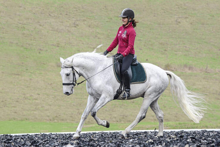 Wie K nnen Reiter Hilfen Flexibler Geben Cavallo de