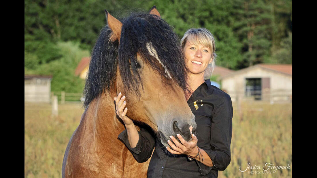TSP Neues Horsemanship
