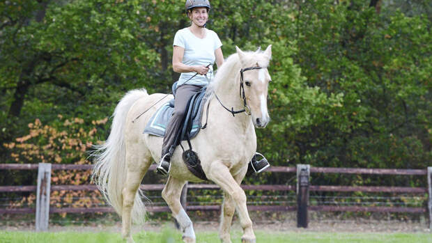 TSP Neues Horsemanship