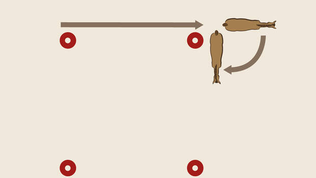 TSP Schulterkontrolle