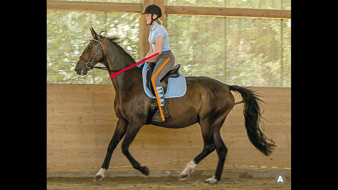 TSP Trainings-Check