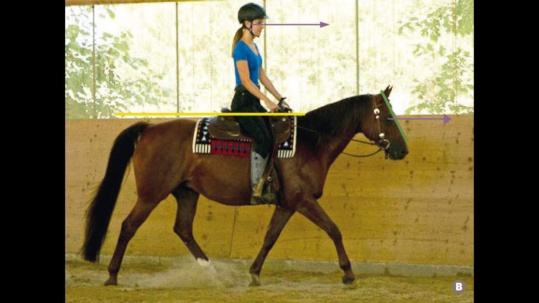 TSP Trainings-Check