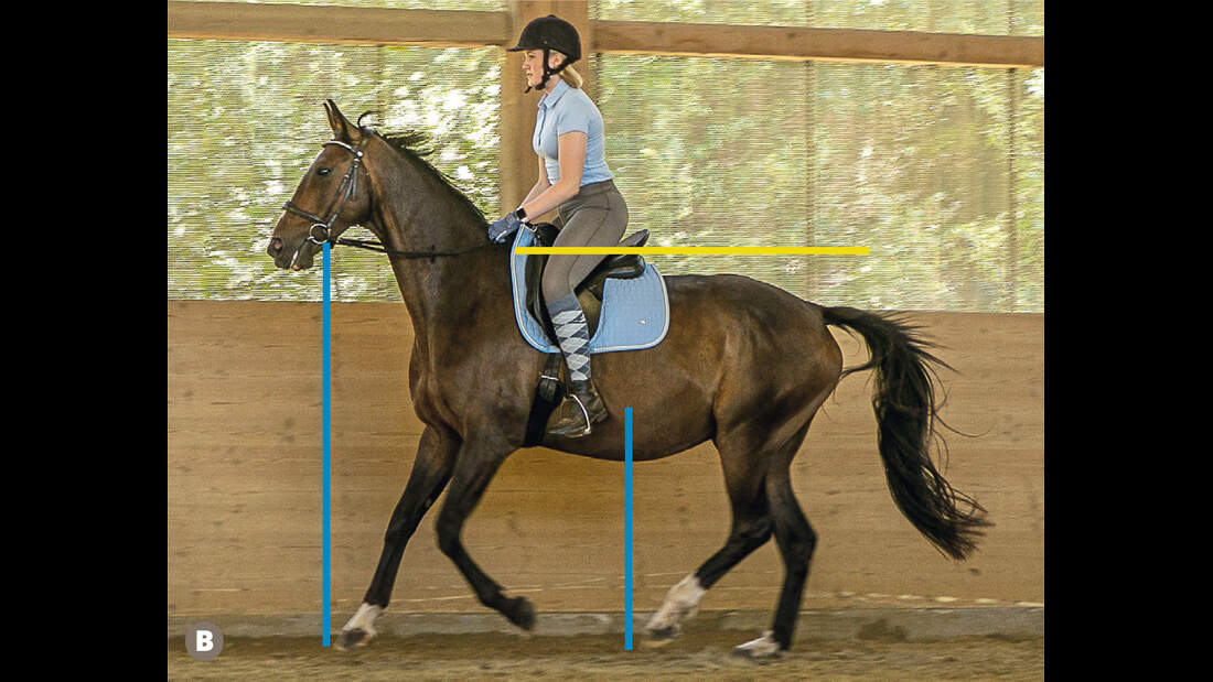 TSP Trainings-Check