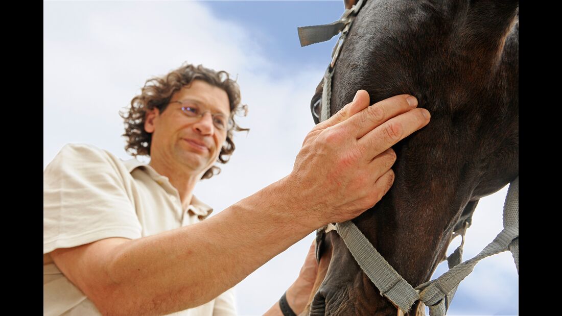 Tierarzt misst Puls beim Pferd