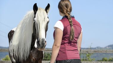 Pferdeverhalten - Die besten Pferdeverhalten verglichen