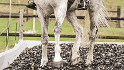 UB Travers reiten Aufmacher