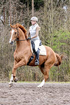 Pferd Atmet Schwer Beim Reiten