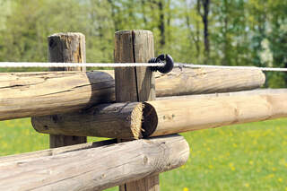 Weidezaun-Check