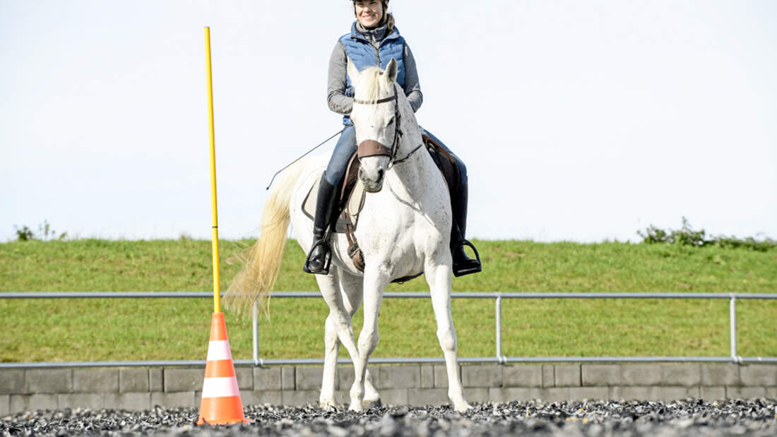Working Equitation 