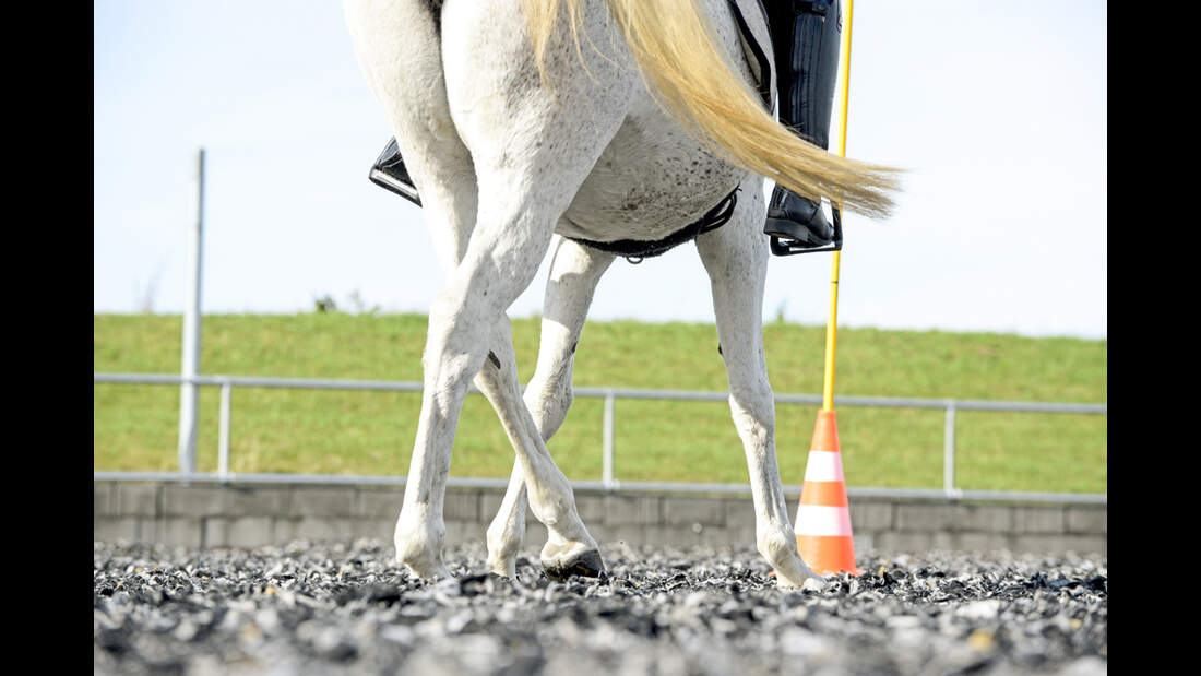Working Equitation