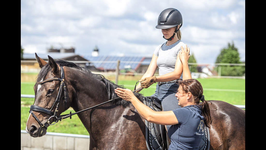 Working Equitation