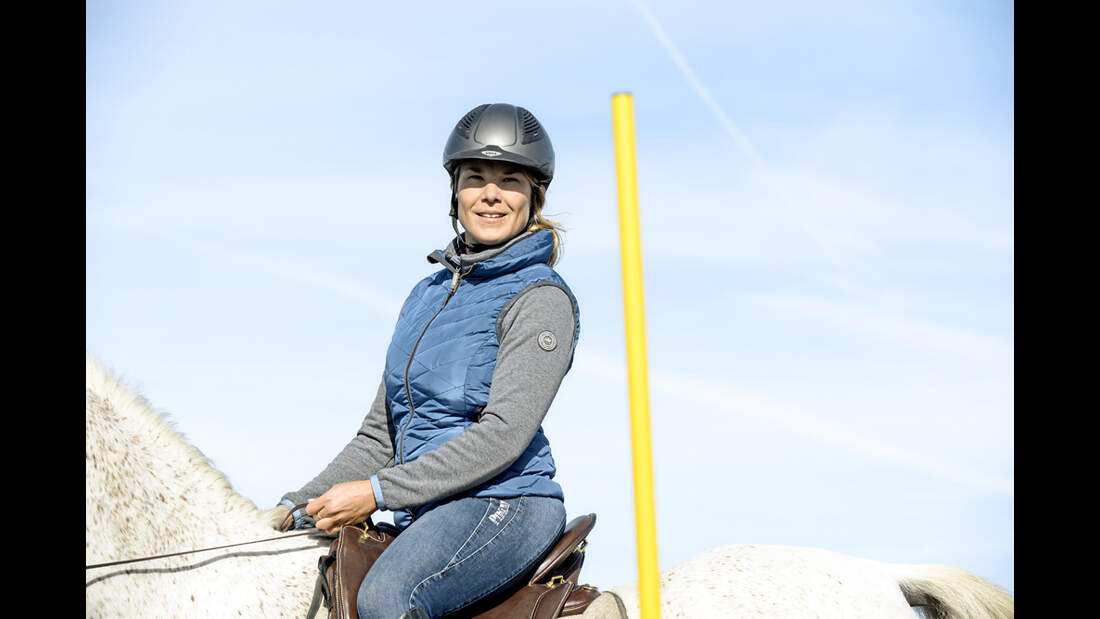 Working Equitation
