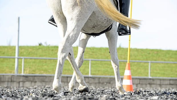 Working Equitation