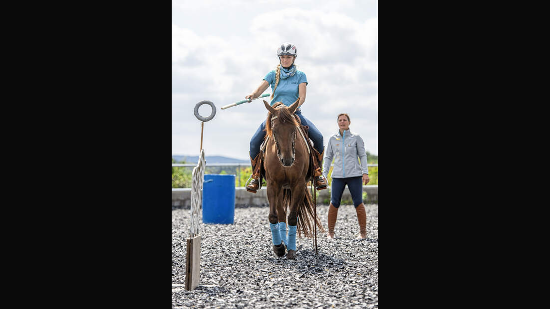 Working Equitation