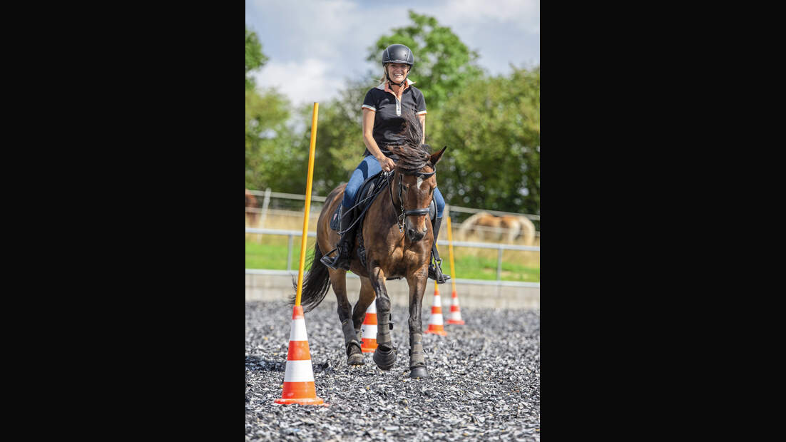 Working Equitation