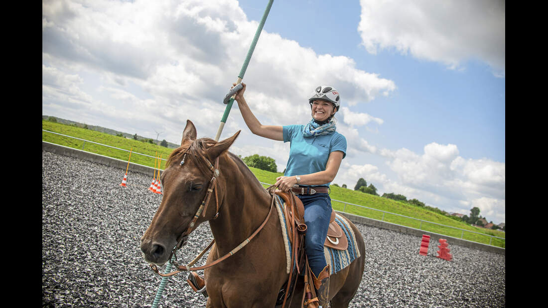 Working Equitation