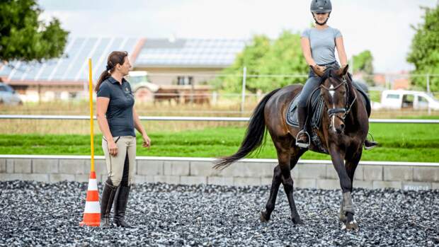 Working Equitation