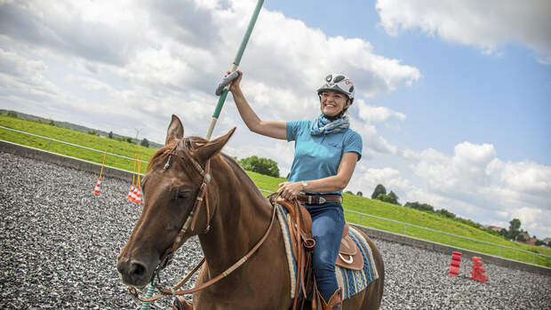 Working Equitation