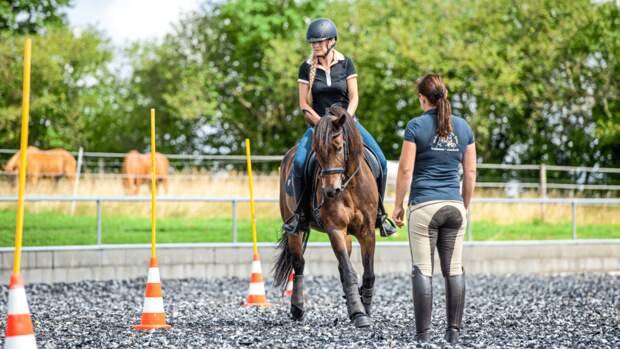 Working Equitation