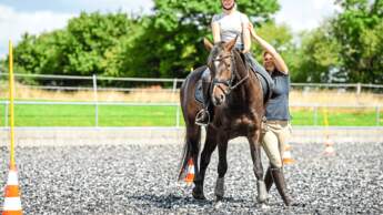 Working Equitation