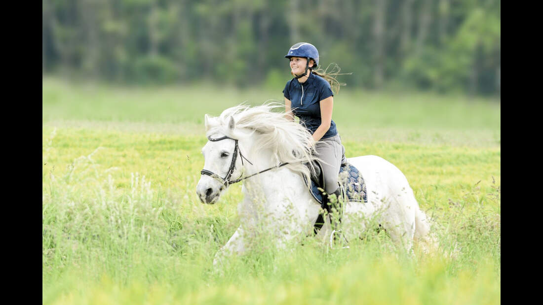 Zu Fuß unterwegs mit Pferd