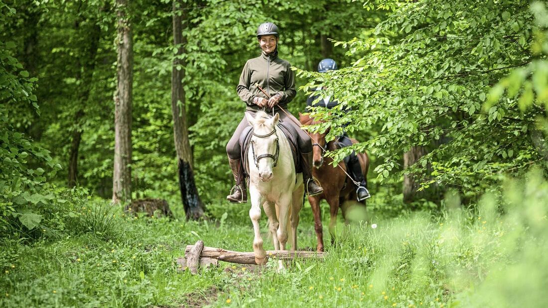 Zwei Reiterinnen auf einem Waldweg 
