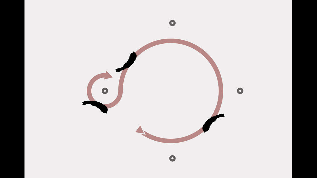 cav-0418-schulterkontrolle-grafik-stabilisieren (jpg)
