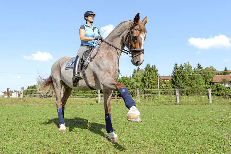 Schulterkontrolle beim Pferd - die besten Übungen | cavallo.de