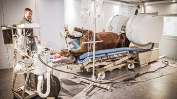cav-0518-pferdeklinik-aufmacher-lir6125 (jpg)