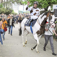 cav-201808-schecke-silvery-moon-1652S160516koeln-sorge (jpg)