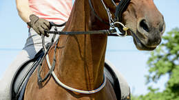 cav-201810-balancezuegel-lir6065-aufmacher (jpg)