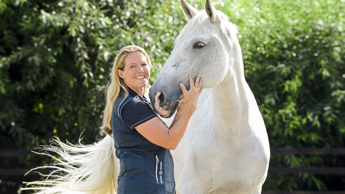 TrainingsCocktail aus fünf Reitweisen cavallo.de