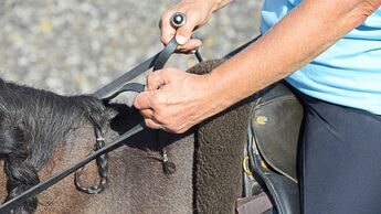 cav-201811-konterlektionen-2-reiten-in-aussenstellung-haende-lir3175-v-amendo (jpg)