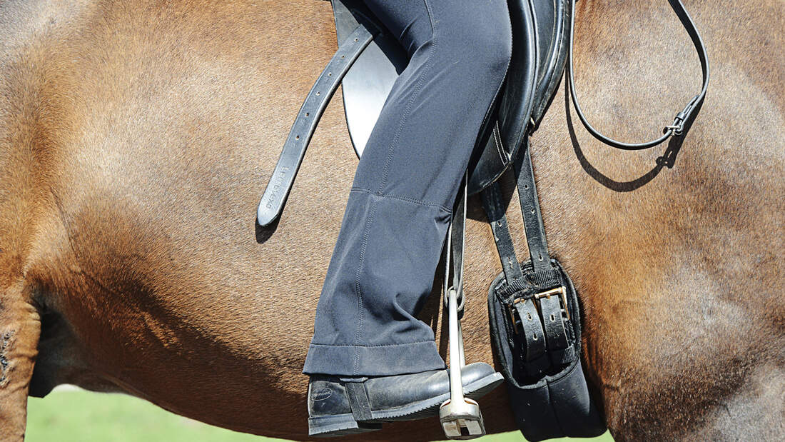 cav-201811-konterlektionen-3-reiten-in-aussenstellung-schenkel-lir3062-v-amendo (jpg)