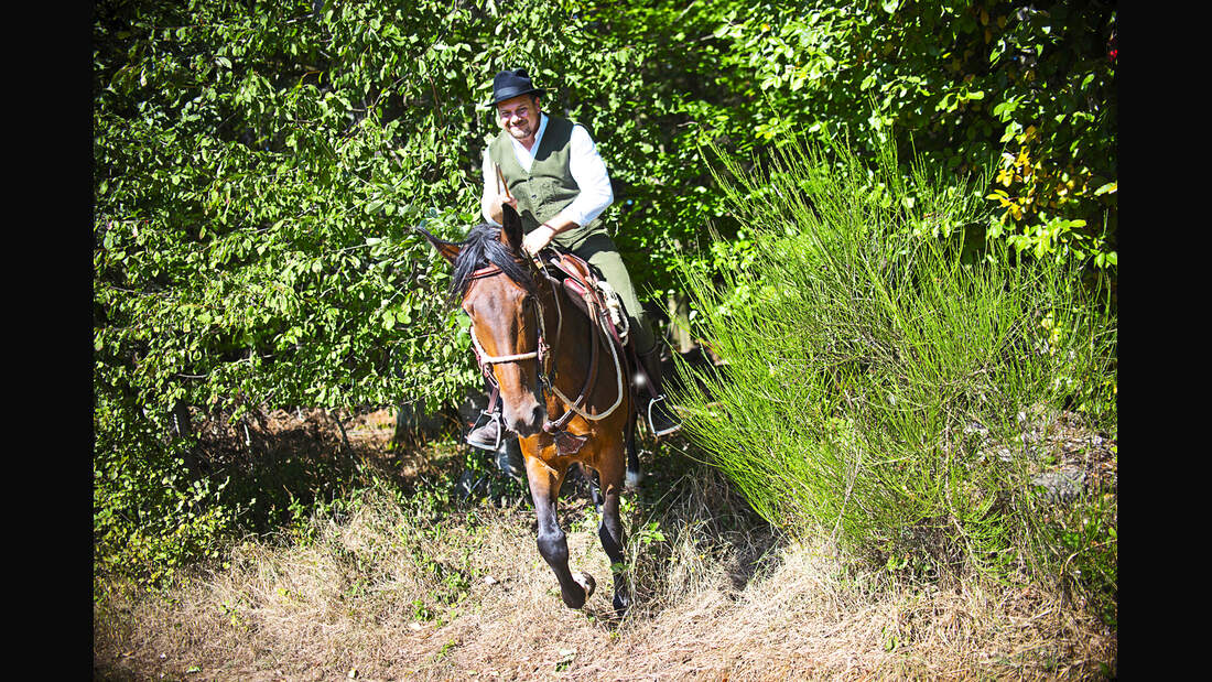 cav-201812-pferderassen-20180912-maremma-pferde-0272-hartig-v-amendo (jpg)