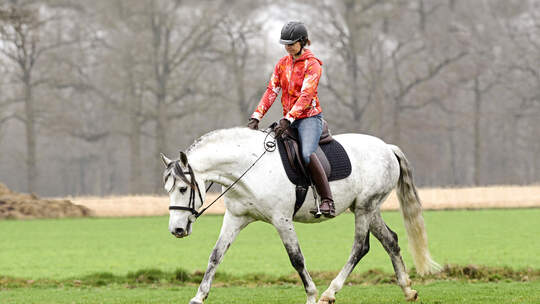 cav-201812-sitzvarianten-mit-TEASER-lir1763 (jpg)